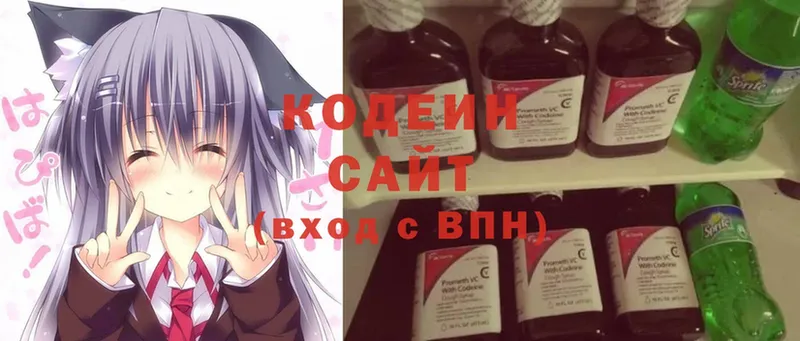 купить наркотик  Ленск  Codein Purple Drank 